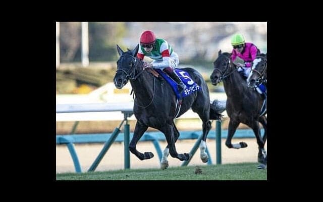 アンカツ厳選の「３歳牡馬番付」。皐月賞、ダービーを制すのはどの馬だ