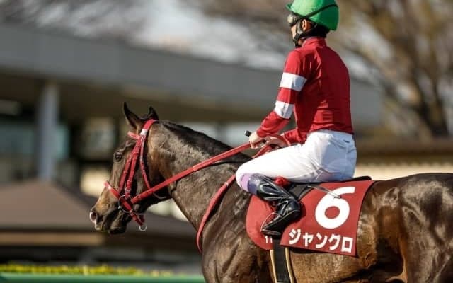 ジャングロは血統的にも見どころ満載 これまでのモアザンレディ産駒とは質が違う!?