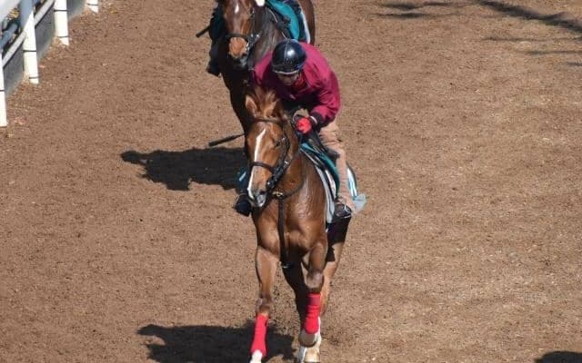 ライラックスアンドレースの2020など、先週の入厩情報/栗東トレセンニュース