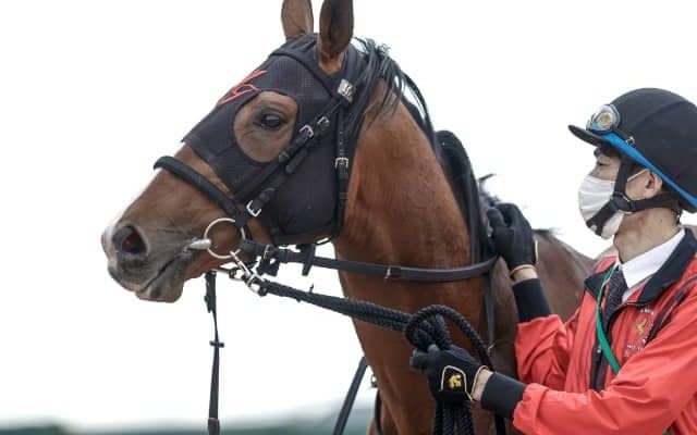 【皐月賞】ここまで中山全勝のアスクビクターモア 田辺騎手と3連勝での戴冠へ