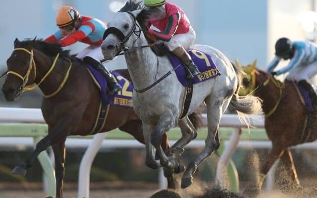 【アンタレスS予想オッズ】オメガパフュームが予想1番人気