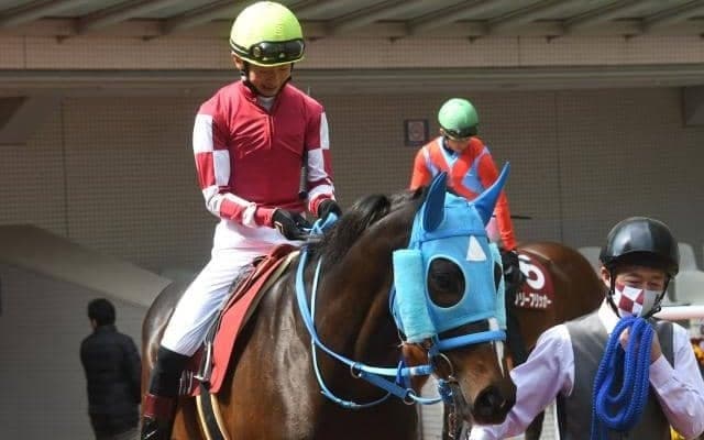 【中山グランドJ予想オッズ】オジュウチョウサンが予想1番人気