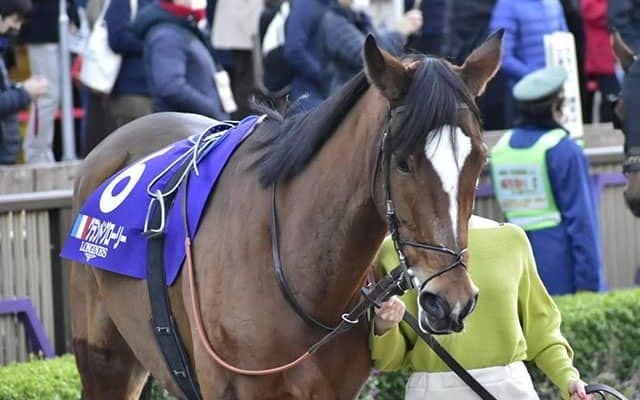 【海外競馬】繁殖馬セールにて3億円超で落札された昨年のJC5着馬グランドグローリーが現役続行、復帰戦を勝利で飾る