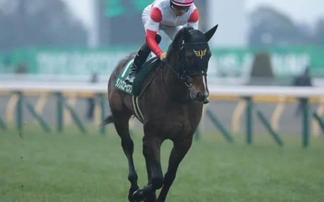 【アーリントンC予想オッズ】ダノンスコーピオンが予想1番人気