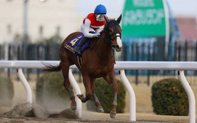 【マリーンC】ショウナンナデシコは8枠13番