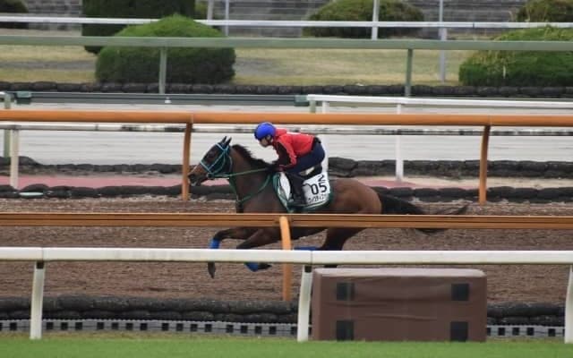 ヴィクティファルス、マイラーズC1週前追い切り速報/栗東トレセンニュース