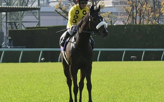【JRA】サークルオブライフ国枝師「オークスに繋がる競馬はできた」在厩調整で巻き返しへ