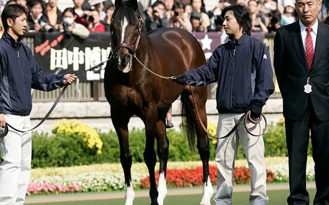 【皐月賞】『ウマ娘』トウカイテイオー役、MachicoさんがNHK中継に登場！