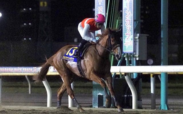 【マリーンC】ショウナンナデシコが8馬身差圧勝