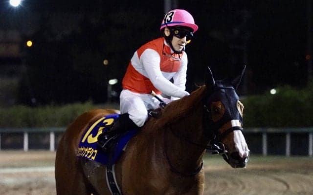 【マリーンC】吉田隼「早めでもスパートした」ショウナンナデシコが重賞2勝目