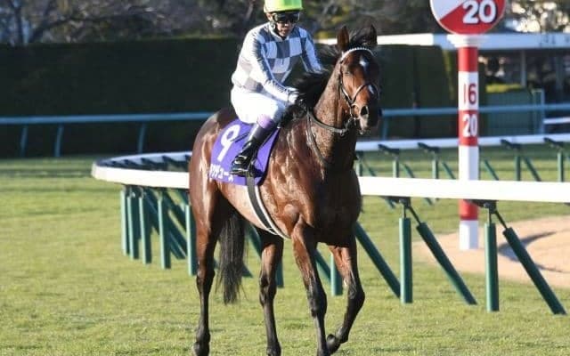 【皐月賞枠順確定】ドウデュースは6枠12番、ダノンベルーガは1枠1番