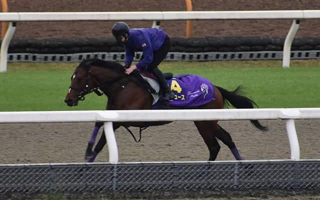 【皐月賞 調教後馬体重】ドウデュースは494kg、キラーアビリティは468kg