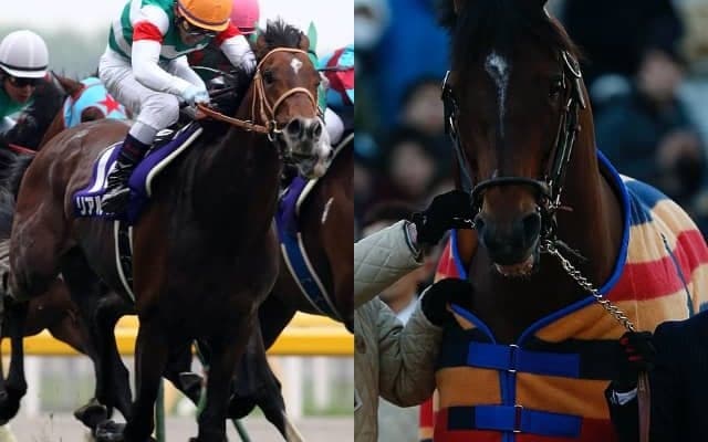 【海外競馬】オーストラリアでモーリス産駒が第1R、リアルインパクト産駒が第2Rを勝利