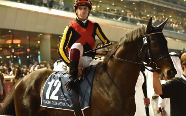 シャフリヤールが世界ランク第7位タイに、首位タイは米のライフイズグッドと豪のネイチャーストリップ