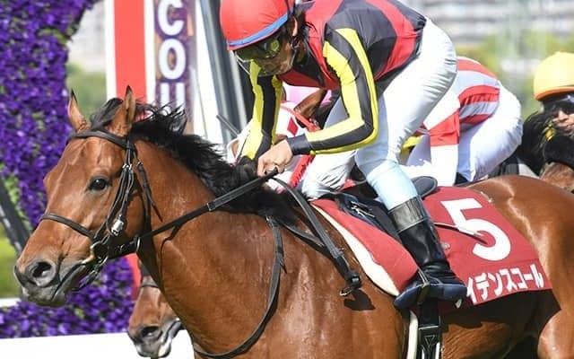 【マイラーズC想定】安定感抜群のカラテ、前年覇者ケイデンスコールなど15頭