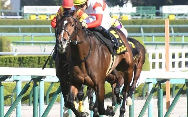 【アーリントンC予想】ダノンスコーピオンに不安要素!? 1600mベストも距離短縮のジレンマ