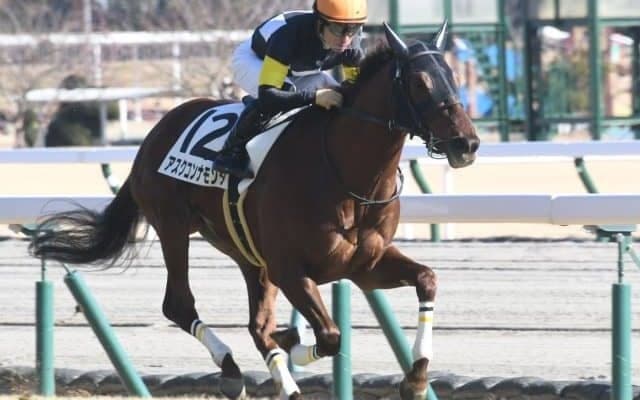 【アーリントンカップC予想】出世レースは形を変え3歳マイル王へのステップに