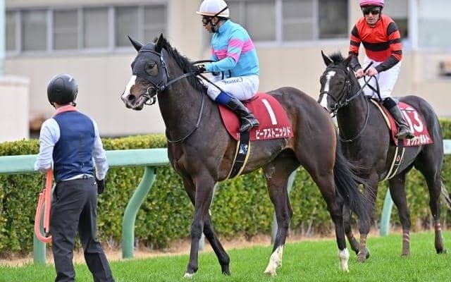 【皐月賞予想】オニャンコポンは寒さに弱い!? 快晴中山で「激走」再び