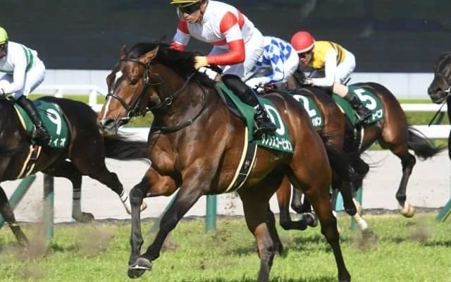 【アーリントンC結果】ダノンスコーピオンが人気に応えて差し切り勝ち