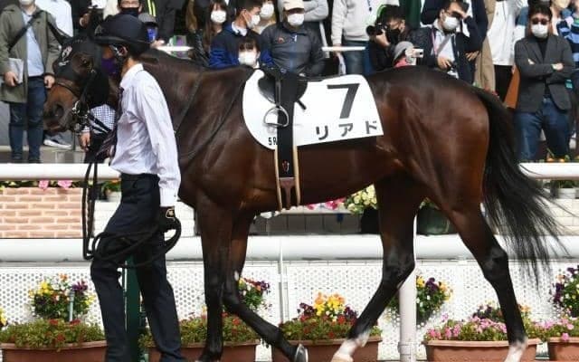 【次走】5億円馬リアドは川田騎手とのコンビで京都新聞杯へ