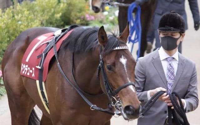 【皐月賞前日オッズ】ドウデュースが4.9倍で1番人気、5頭が10倍を切る混戦模様