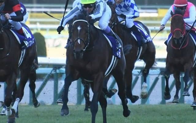 【AI予想・皐月賞】前走「敗戦」に妙味あり!? 3年連続「無敗馬の皐月賞制覇」が人気を助長するのか