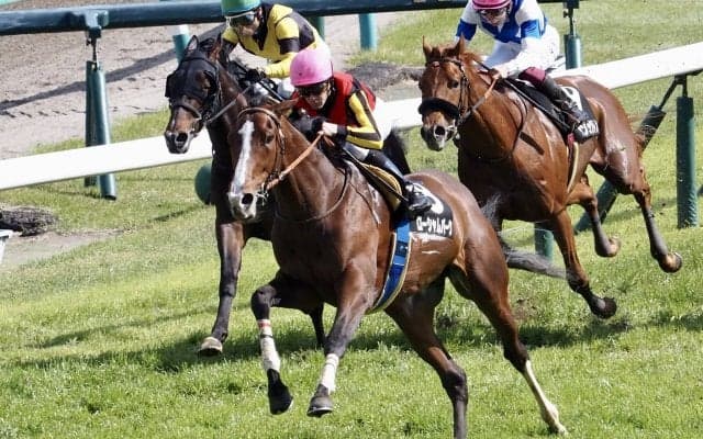 【山藤賞】断然人気 ローシャムパークが7馬身差圧勝