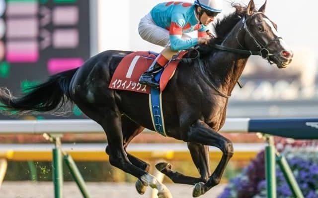 【今日の注目ポイント】クラシック三冠の第一弾・皐月賞