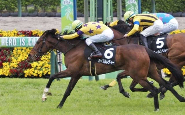 【野島崎特別】ディープ産駒 パープルレディが差し切り