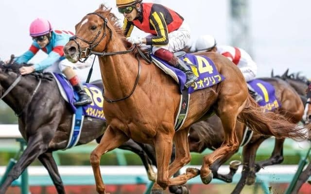 【皐月賞】ジオグリフが差し切り一冠目を制す！イクイノックス2着で木村哲也厩舎のワンツー