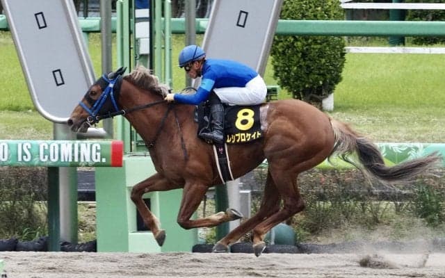 【京葉S】レシプロケイトが鮮やかに突き抜ける