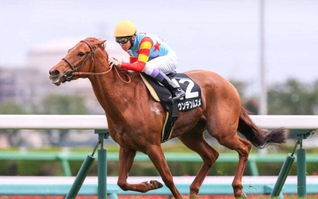 【袖ヶ浦特別】武豊 マウンテンムスメが人気に応える