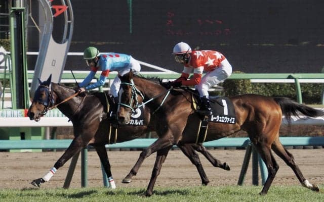 【フローラS登録馬】ルージュエヴァイユなど15頭