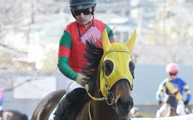 【先週のJRA抹消馬】重賞5勝馬グリム、リステッド競走2勝マイネルユキツバキなど