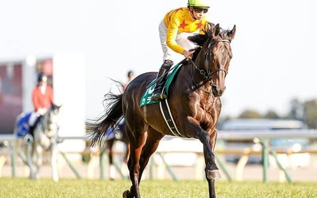 【マイラーズC想定騎手】カラテは菅原明良騎手、ホウオウアマゾンは坂井瑠星騎手