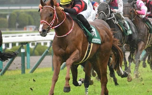 【AI予想・マイラーズC】GIIなら鉄板!? あの「阪神巧者」がGI谷間に満を持して登場