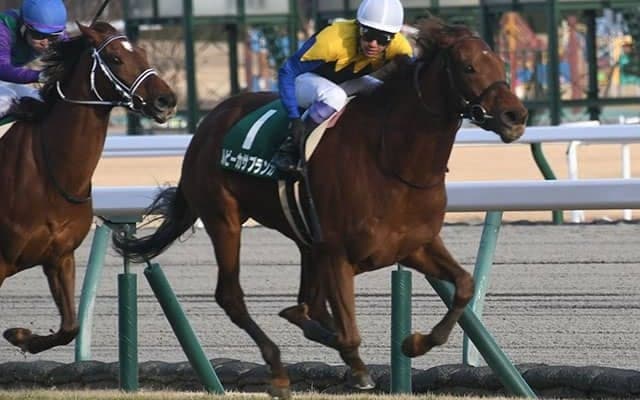 【福島牝馬S想定騎手】ルビーカサブランカは武豊騎手、アナザーリリックは津村明秀騎手
