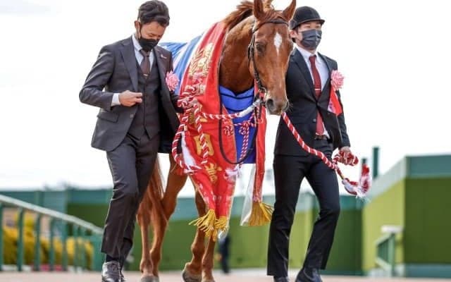 「〇〇×キンカメ×サンデー」が芝の大物を出す方程式!?