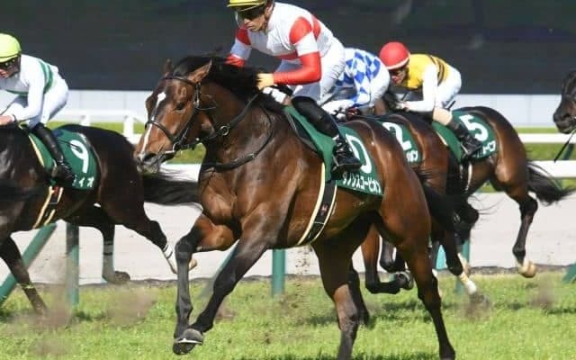 現状ベストはマイルだが、もう少し長い距離で活躍する可能性も…？