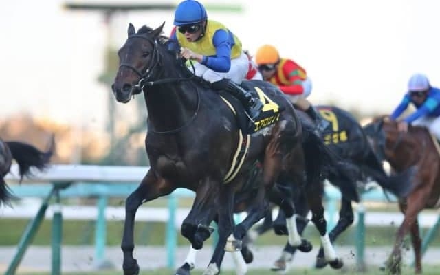 【マイラーズC】雪辱に燃えるエアロロノア 新時代のマイル王へ