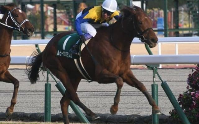 【福島牝馬S予想オッズ】ルビーカサブランカが予想1番人気