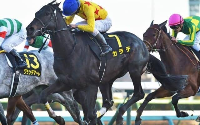 【マイラーズC予想オッズ】カラテが予想1番人気