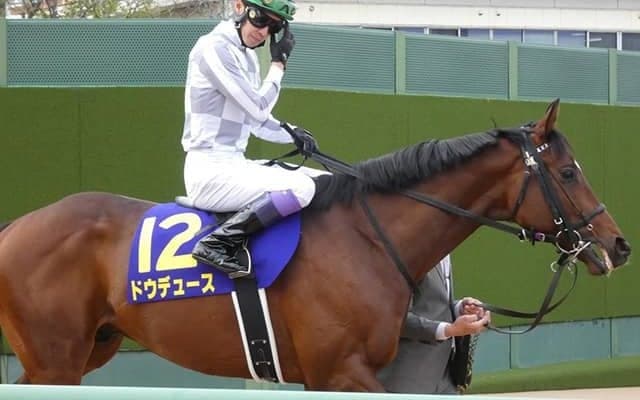 【次走】ドウデュース、オニャンコポン、ジャスティンロック、デシエルトは日本ダービーへ