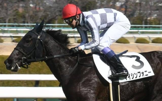 【フローラS予想】紛れの多い牝馬限定トライアル AIの推しは“2つの強み”をもつ伏兵馬