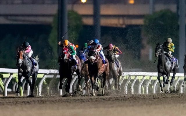 【東京スプリント】シャマルが大接戦を制する