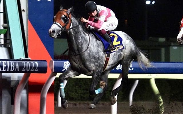 【東京スプリント】横山武「残念」レース後ジョッキーコメント