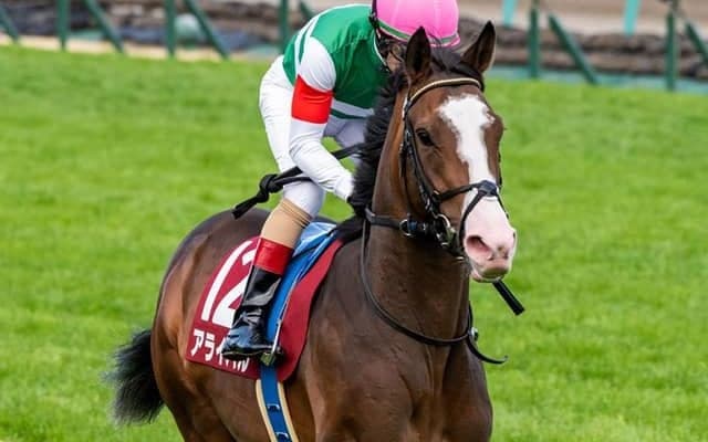 【JRA】スプリングS2着アライバルは春全休、放牧先で左肩痛める