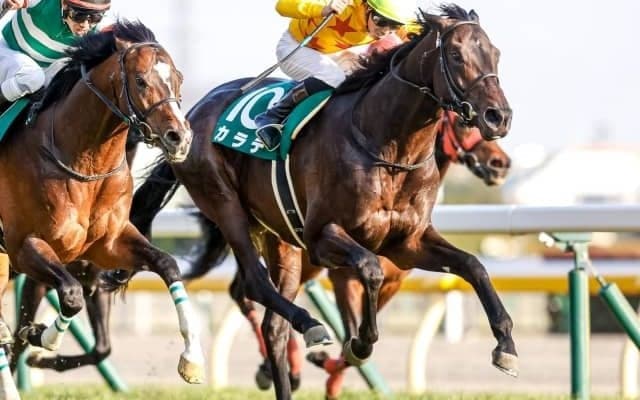 【マイラーズC出走馬・騎手確定】カラテ＆菅原明良騎手、ホウオウアマゾン＆坂井瑠星騎手など15頭