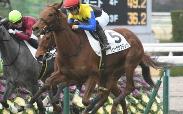 【福島牝馬S出走馬・騎手確定】ルビーカサブランカ＆武豊騎手、アブレイズ＆菅原明良騎手など16頭