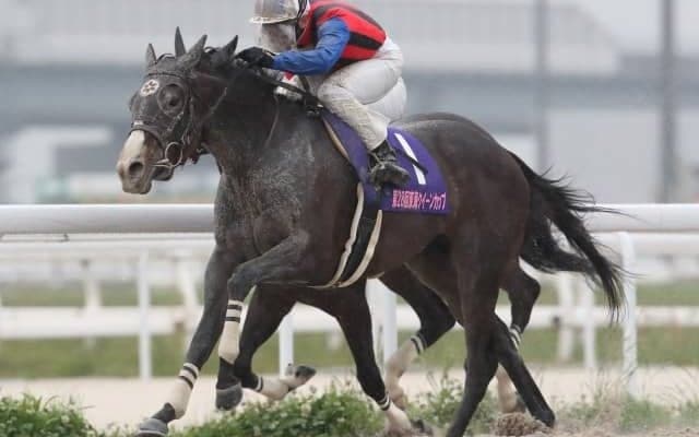 【名古屋・東海クイーンC結果】船橋のグラーツィアが差し切って重賞2勝目